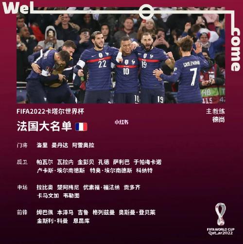 法国参加欧洲杯名额分配（法国队公布欧洲杯大名单）