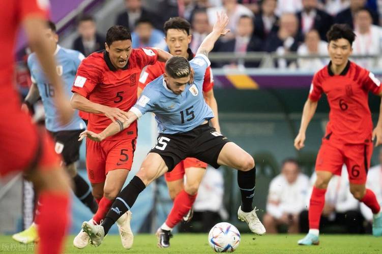韩国对阵加纳打平欧洲杯（韩国队vs）