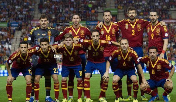 西班牙14年欧洲杯阵容（西班牙14年世界杯战绩）